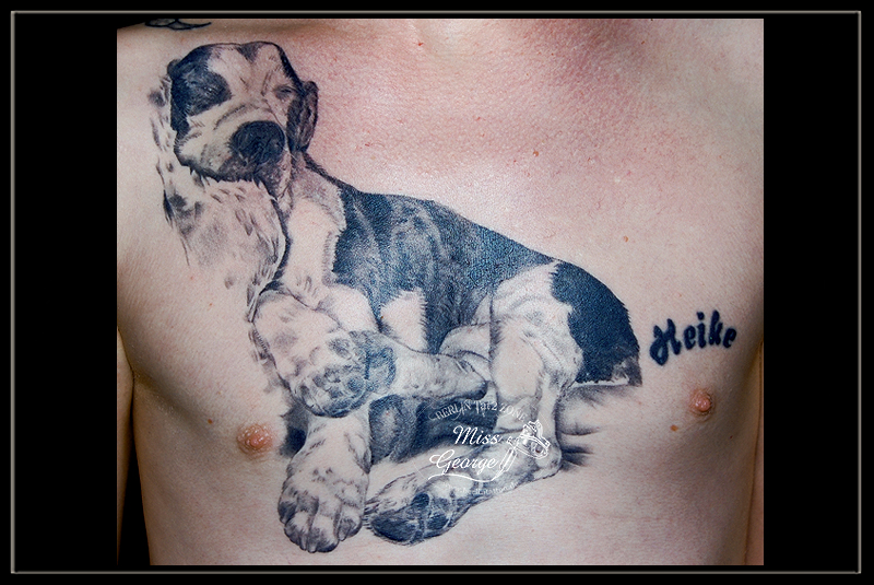 tattoo hund liegend black&white auf brust miss george