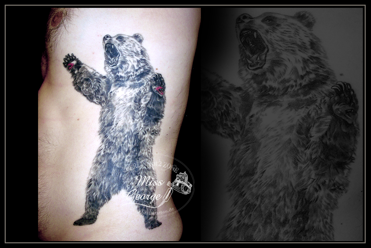 Tattoo Realistic Bear Rippen. Berlin Tat2 Zone